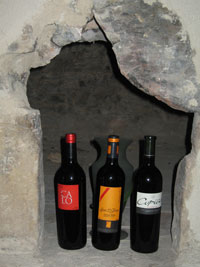 Vin på Mallorca